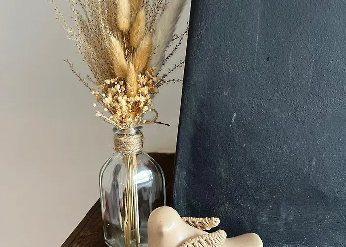 アパート Cocon Au Coeur Du Centre De バザス